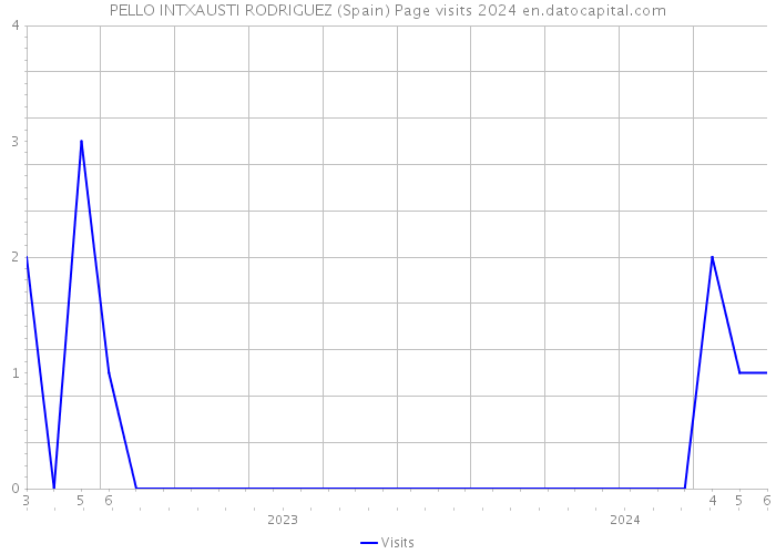 PELLO INTXAUSTI RODRIGUEZ (Spain) Page visits 2024 