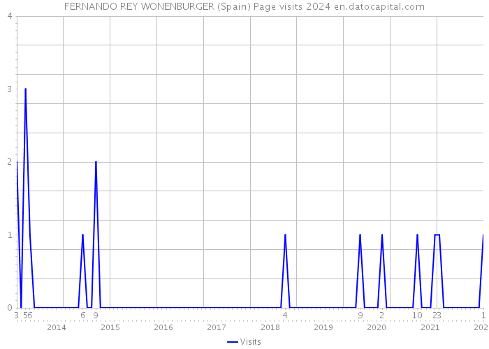 FERNANDO REY WONENBURGER (Spain) Page visits 2024 
