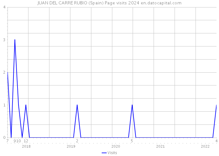 JUAN DEL CARRE RUBIO (Spain) Page visits 2024 