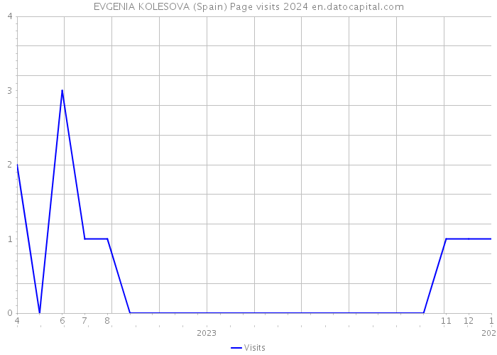 EVGENIA KOLESOVA (Spain) Page visits 2024 