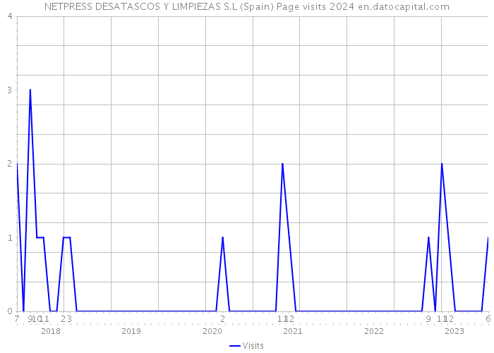 NETPRESS DESATASCOS Y LIMPIEZAS S.L (Spain) Page visits 2024 