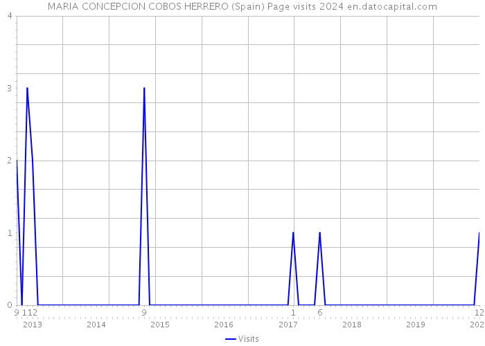 MARIA CONCEPCION COBOS HERRERO (Spain) Page visits 2024 