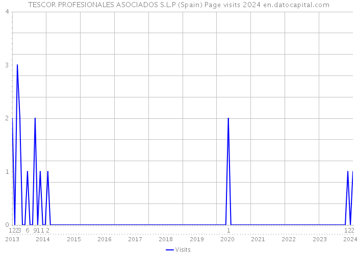 TESCOR PROFESIONALES ASOCIADOS S.L.P (Spain) Page visits 2024 