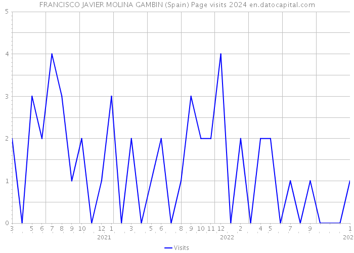 FRANCISCO JAVIER MOLINA GAMBIN (Spain) Page visits 2024 