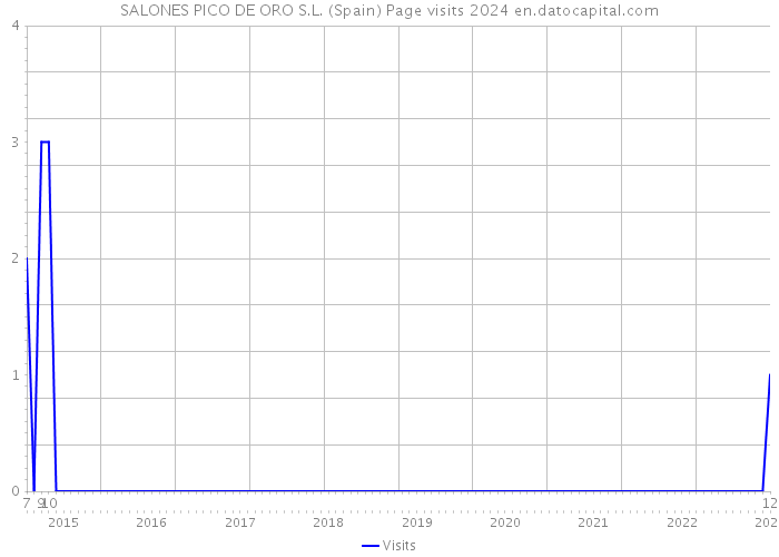 SALONES PICO DE ORO S.L. (Spain) Page visits 2024 