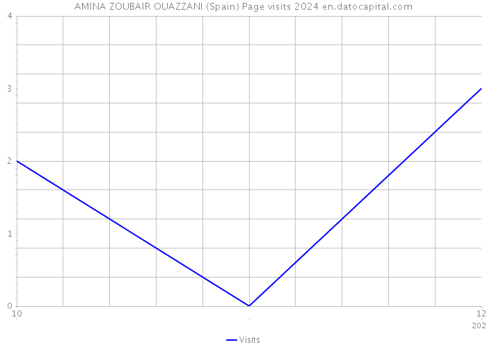 AMINA ZOUBAIR OUAZZANI (Spain) Page visits 2024 