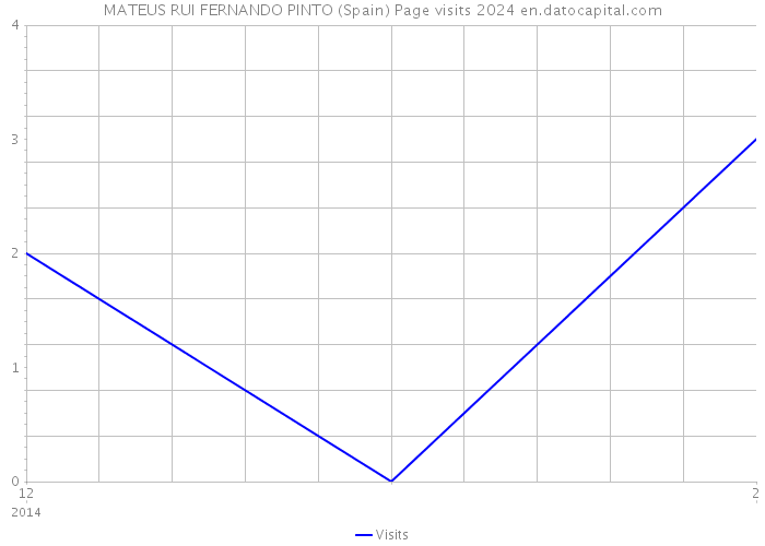 MATEUS RUI FERNANDO PINTO (Spain) Page visits 2024 