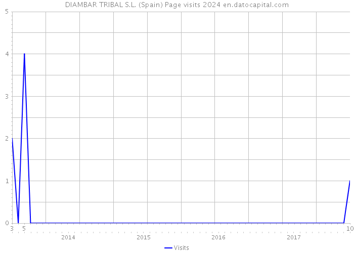 DIAMBAR TRIBAL S.L. (Spain) Page visits 2024 