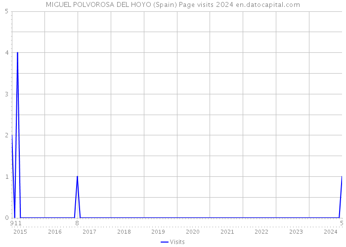 MIGUEL POLVOROSA DEL HOYO (Spain) Page visits 2024 