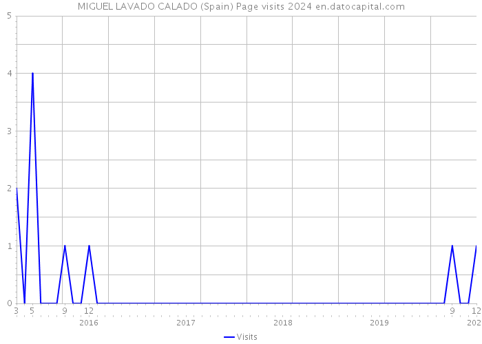 MIGUEL LAVADO CALADO (Spain) Page visits 2024 