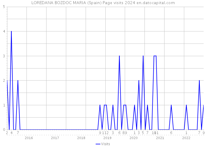 LOREDANA BOZDOC MARIA (Spain) Page visits 2024 
