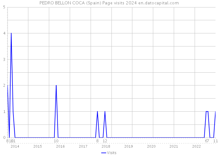 PEDRO BELLON COCA (Spain) Page visits 2024 