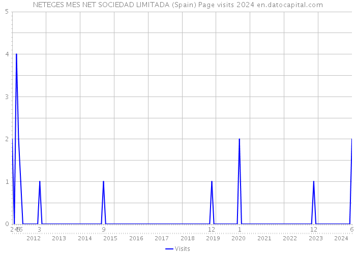 NETEGES MES NET SOCIEDAD LIMITADA (Spain) Page visits 2024 