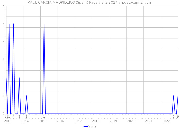 RAUL GARCIA MADRIDEJOS (Spain) Page visits 2024 