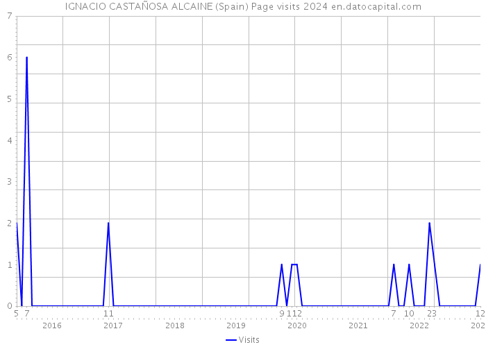 IGNACIO CASTAÑOSA ALCAINE (Spain) Page visits 2024 