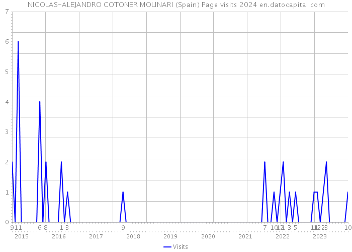 NICOLAS-ALEJANDRO COTONER MOLINARI (Spain) Page visits 2024 