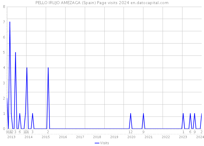 PELLO IRUJO AMEZAGA (Spain) Page visits 2024 