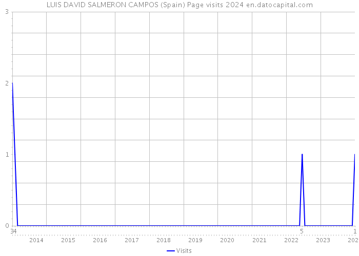 LUIS DAVID SALMERON CAMPOS (Spain) Page visits 2024 