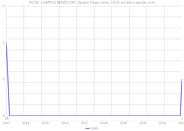 ROSA CAMPOS BENDICHO (Spain) Page visits 2024 