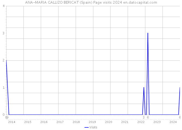 ANA-MARIA GALLIZO BERICAT (Spain) Page visits 2024 