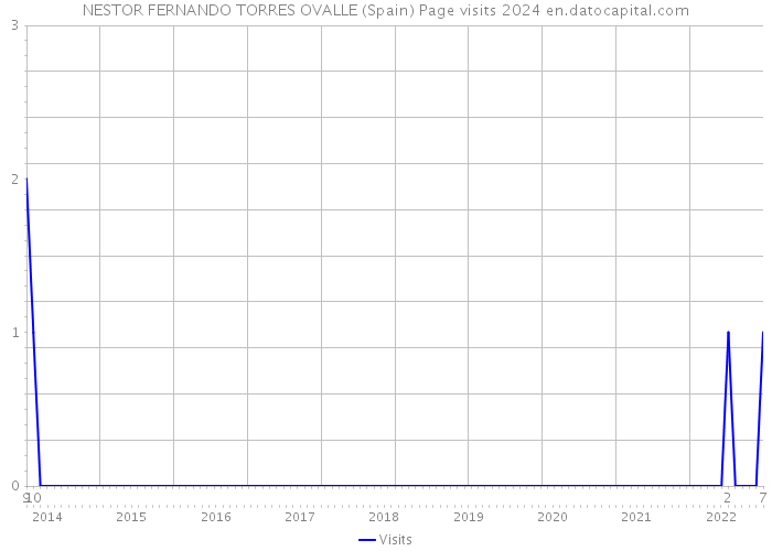 NESTOR FERNANDO TORRES OVALLE (Spain) Page visits 2024 