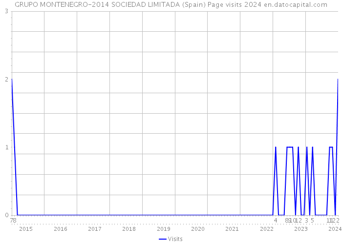 GRUPO MONTENEGRO-2014 SOCIEDAD LIMITADA (Spain) Page visits 2024 