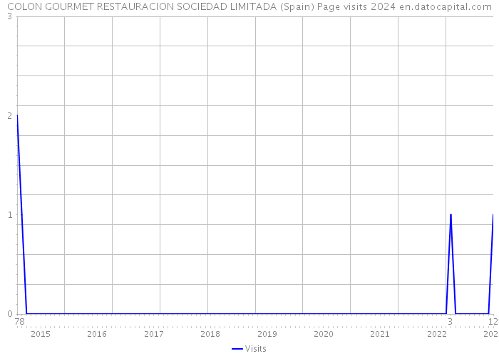 COLON GOURMET RESTAURACION SOCIEDAD LIMITADA (Spain) Page visits 2024 