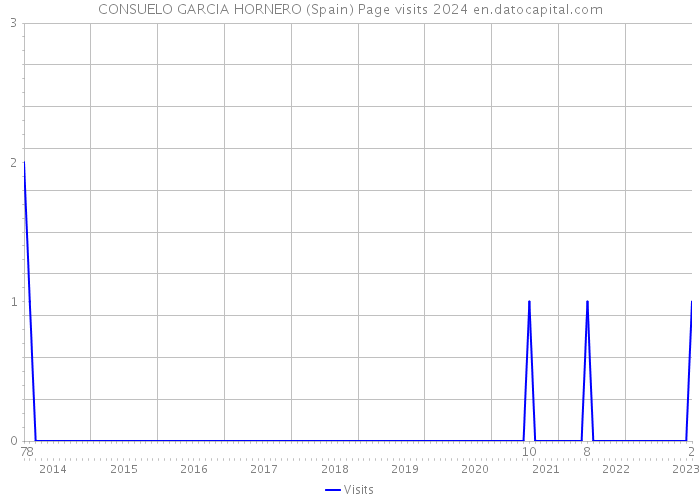 CONSUELO GARCIA HORNERO (Spain) Page visits 2024 