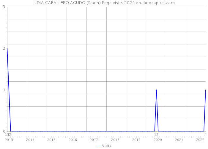 LIDIA CABALLERO AGUDO (Spain) Page visits 2024 