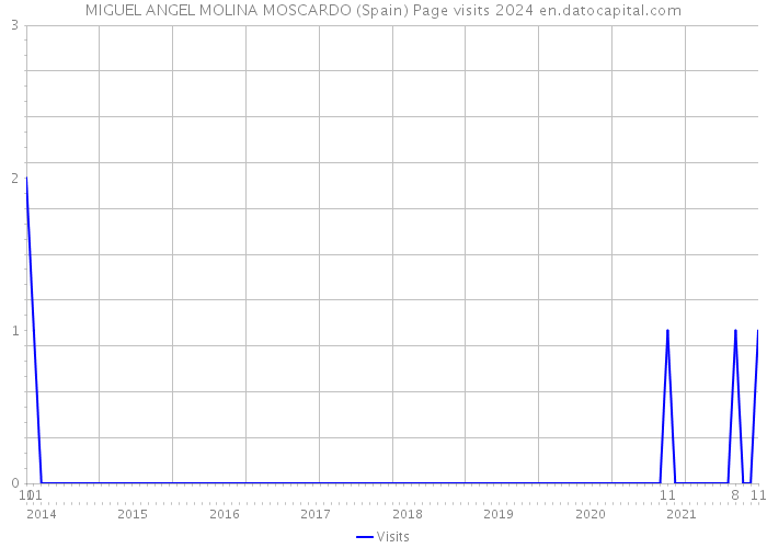 MIGUEL ANGEL MOLINA MOSCARDO (Spain) Page visits 2024 