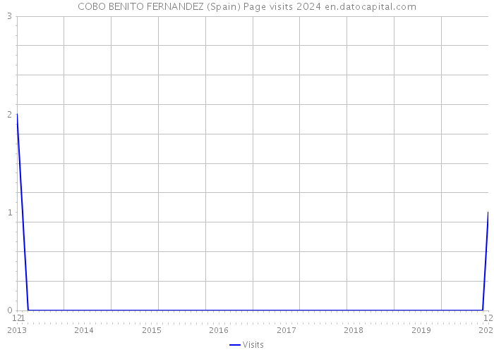 COBO BENITO FERNANDEZ (Spain) Page visits 2024 