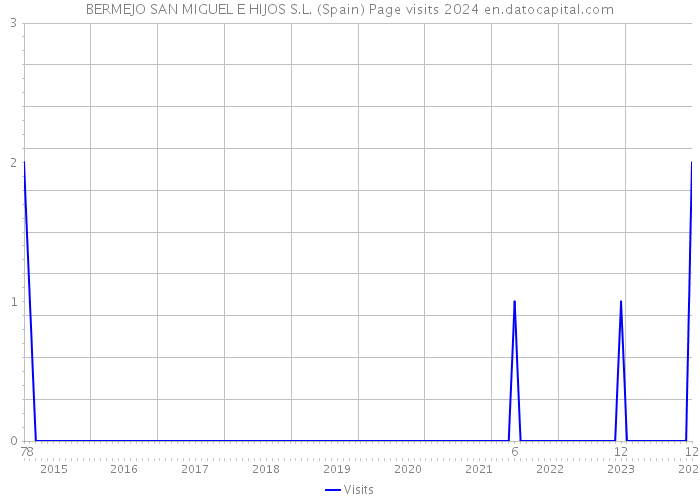 BERMEJO SAN MIGUEL E HIJOS S.L. (Spain) Page visits 2024 