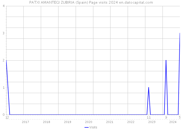 PATXI AMANTEGI ZUBIRIA (Spain) Page visits 2024 