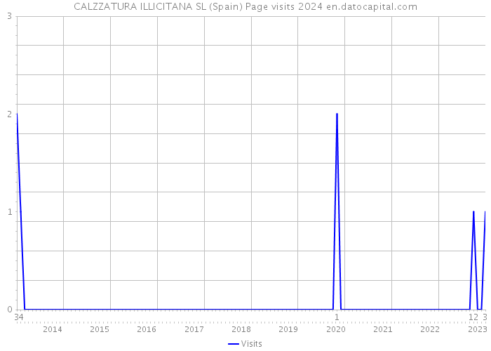 CALZZATURA ILLICITANA SL (Spain) Page visits 2024 