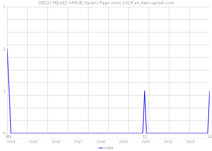 DIEGO PELAEZ ARRUE (Spain) Page visits 2024 