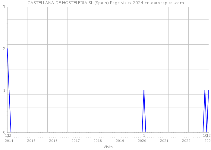 CASTELLANA DE HOSTELERIA SL (Spain) Page visits 2024 