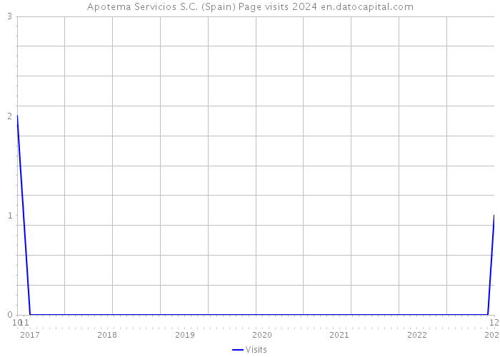 Apotema Servicios S.C. (Spain) Page visits 2024 