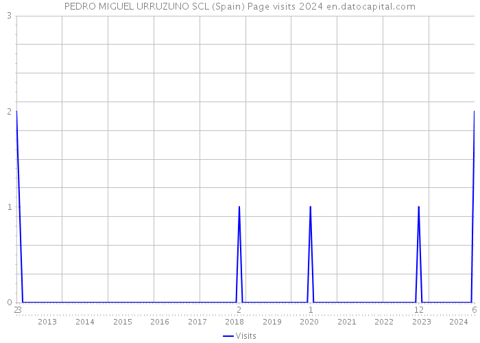 PEDRO MIGUEL URRUZUNO SCL (Spain) Page visits 2024 