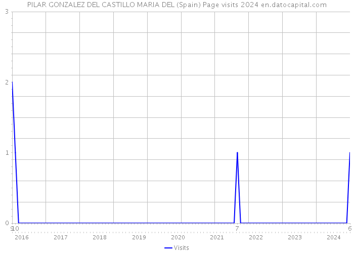 PILAR GONZALEZ DEL CASTILLO MARIA DEL (Spain) Page visits 2024 