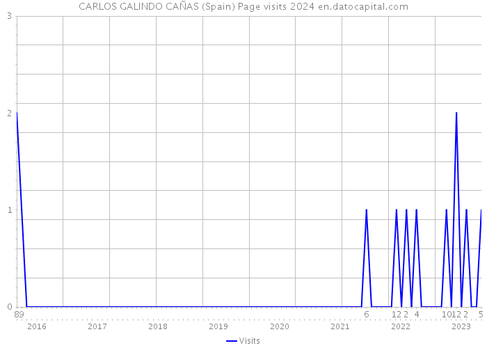 CARLOS GALINDO CAÑAS (Spain) Page visits 2024 