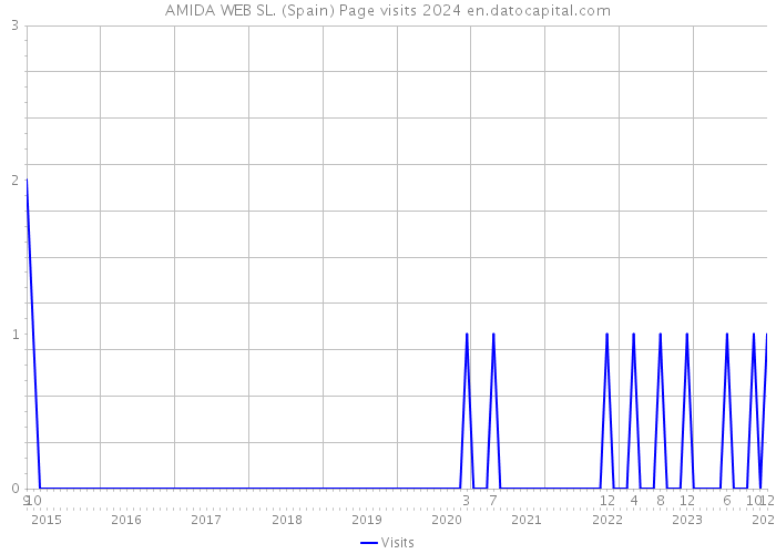 AMIDA WEB SL. (Spain) Page visits 2024 