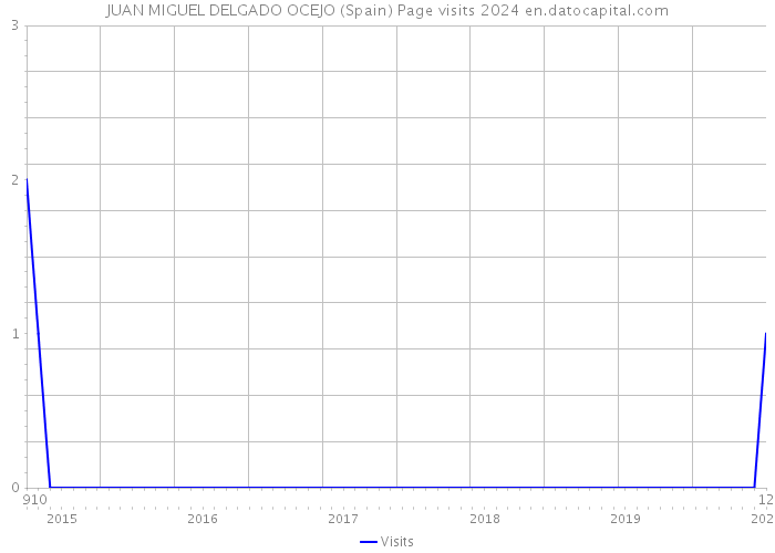 JUAN MIGUEL DELGADO OCEJO (Spain) Page visits 2024 