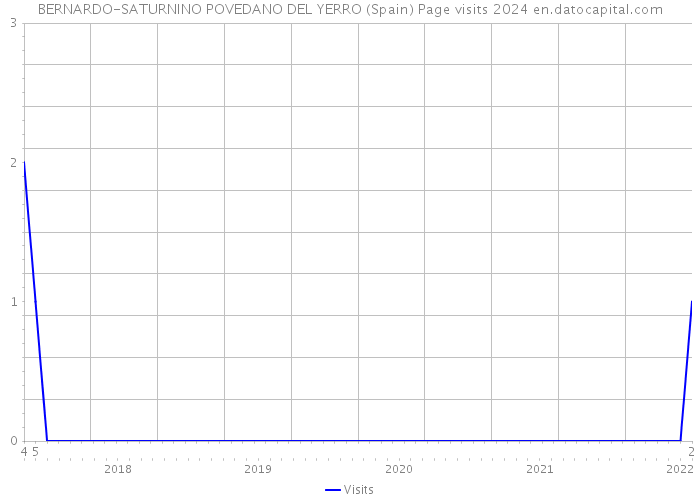 BERNARDO-SATURNINO POVEDANO DEL YERRO (Spain) Page visits 2024 