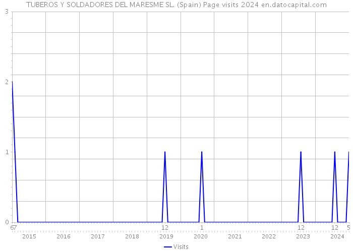 TUBEROS Y SOLDADORES DEL MARESME SL. (Spain) Page visits 2024 