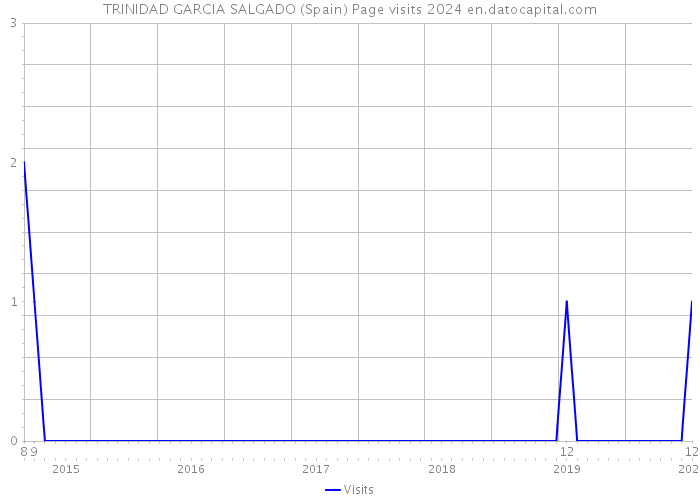 TRINIDAD GARCIA SALGADO (Spain) Page visits 2024 
