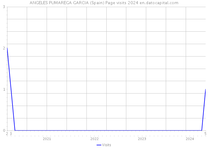 ANGELES PUMAREGA GARCIA (Spain) Page visits 2024 
