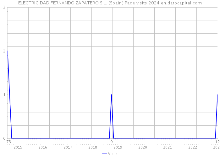 ELECTRICIDAD FERNANDO ZAPATERO S.L. (Spain) Page visits 2024 