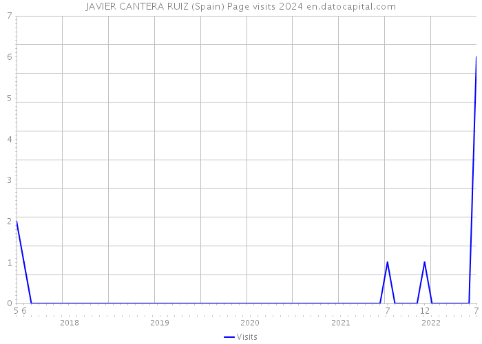 JAVIER CANTERA RUIZ (Spain) Page visits 2024 