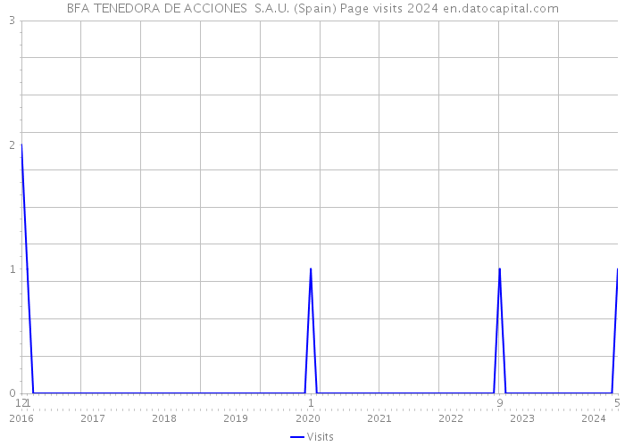 BFA TENEDORA DE ACCIONES S.A.U. (Spain) Page visits 2024 