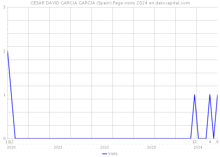 CESAR DAVID GARCIA GARCIA (Spain) Page visits 2024 